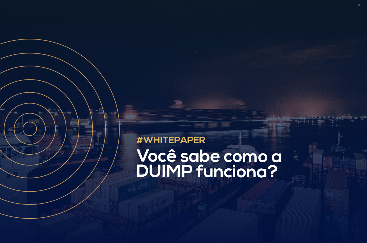 Você sabe como a DUIMP funciona?