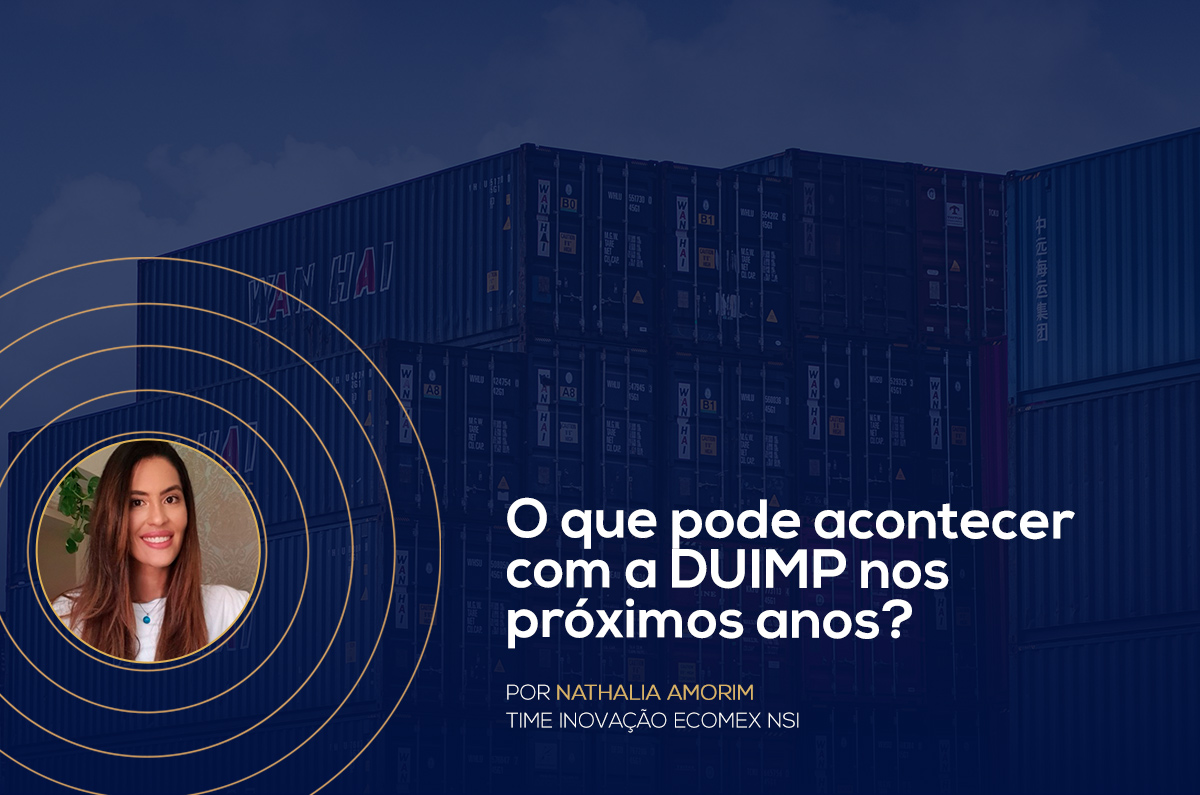 O que pode acontecer com a DUIMP nos próximos anos?
